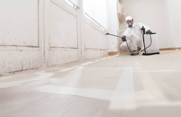 24/7 Emergency Mold Inspection experts in Mount Holly, NJ