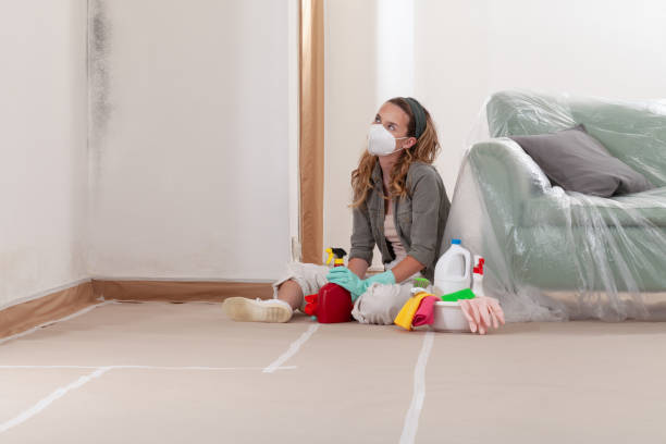 Reliable Mold Inspection contractor in Mount Holly, NJ by WQB Mold Removal